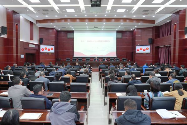 谈文胜到省生态环境厅宣讲党的二十届四中全会精神